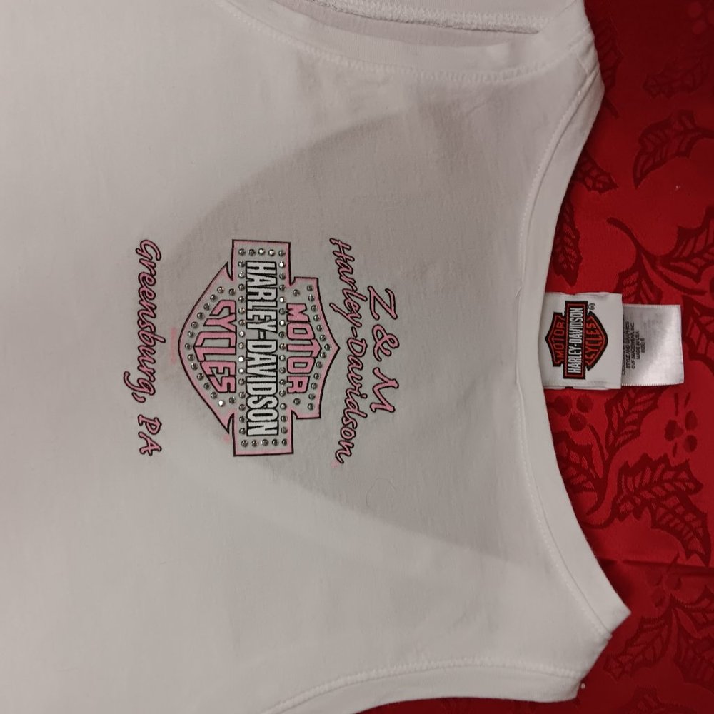 Harley-Davidson T-shirt size  S - Picture 8 of 14
